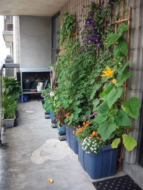 fantastic vertical garden ideas for balcony one and only
