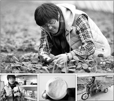 clockwise from top wang mian examines his strawberry crop wang drives a motorcycle designed for