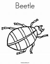 Beetle Coloring Beetles Pages Bug Insect Kids Twistynoodle Template Bugs Beatle Beelte Noodle Outline Animal Designlooter Insects Twisty Built California sketch template