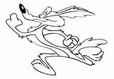 Coyote Coloring Wile Pages Roadrunner Drawing Runner Road Howling Getdrawings Getcolorings Printable Print Color Colorings sketch template
