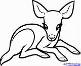 Coloring Pages Dragoart Baby Cute Animal Popular sketch template