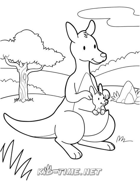 baby kangaroo coloring pages  kids time fun places  visit