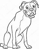 Boxer Coloring Dog Cartoon Book Illustration Vector Pages Clipart Drawings Face Funny Drawing Clip Template Line sketch template