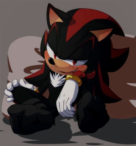 ¡imagenes shadonic 2 con imágenes shadow the hedgehog cómo