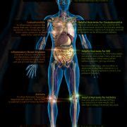 body pains solutions infographic  infographics