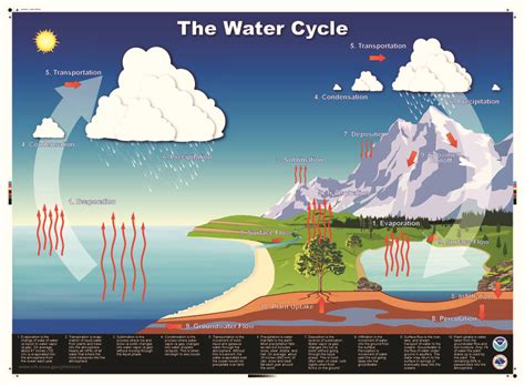 water cycle printables    grade lesson planet