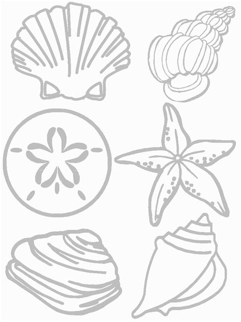 gambar shells coloring page seashore collage craft preschool printable