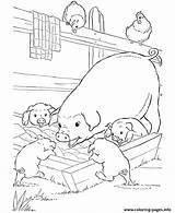 Coloring Pages Farm Pig Animal Printable Pigs Animals Kids Piglet Print Color Slop Sheet Sheets Barn Baby Colouring Crafts Library sketch template