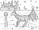 Vixen Reindeer Robin Coloring Pages Great sketch template