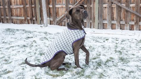 beginner template dog coat sewing patterns  printable printable