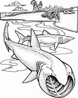 Shark Realistic sketch template