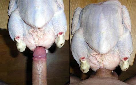 Wtf Thanksgiving Turkey Sex Toy Fleshlight