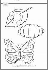 Raupe Nimmersatt Ausmalbild Hungry Butterfly Kinderbilder Ramin Monika sketch template
