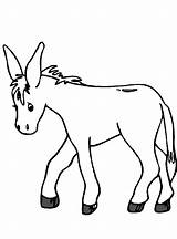 Donkey Donkeys Burros Burro Coloringhome Buros sketch template