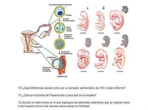 Reproducción Humana