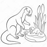 Otter Coloring Pages River Mother Drawing Baby Outline Cute Color Daughter Printable Vector Clip Getdrawings Looks Getcolorings Illustrations Similar sketch template