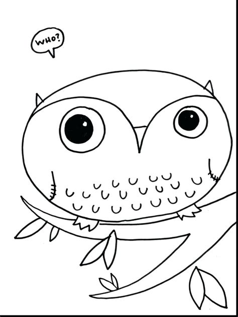 owl coloring pages preschool  getcoloringscom  printable