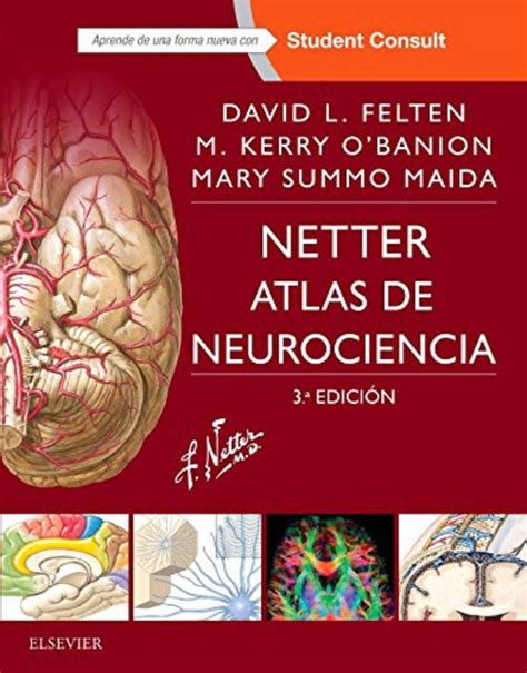netter atlas de neurociencia en laleo
