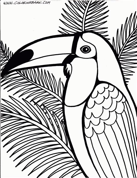 rainforest coloring page rainforest animal coloring pages