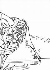 King Lion Coloring Pages Rafiki Simba Printable Shows Why sketch template