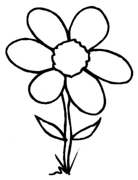 spring flowers coloring pictures printable  pinterest