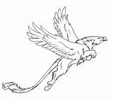 Griffin Griffon Greif Lineart Fabelwesen Mythology Fantastique Creature Zeichnen Mythologie Wolf Griffons Drachen sketch template