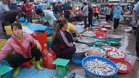 cambodia fish market show   site distribute fish dry fish seafood atchbar ampov