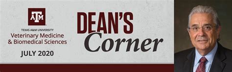 July 2020 Dean S Corner Newsletter Vmbs News