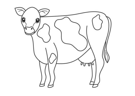 animal coloring pages  kids disney coloring pages