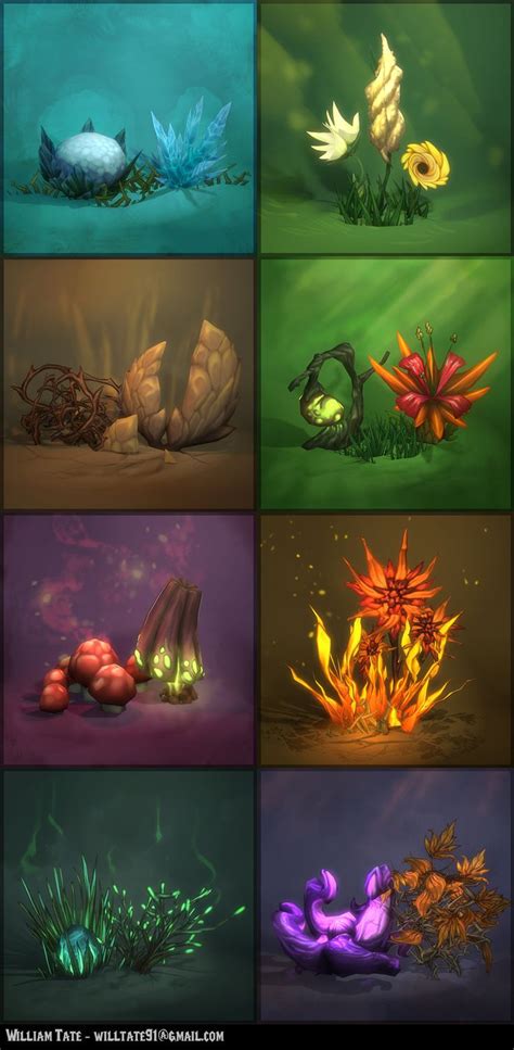 types  interesting plants  reference environment concept art