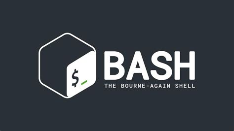 bash scripts prompt user inputs validate  perform calculations