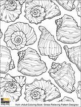 Restylegraphic Seashells sketch template