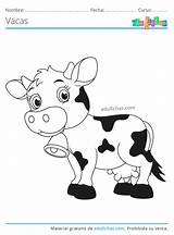 Vaca Vacas Animales Coloreables sketch template