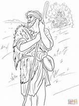Profeta Amos Ausmalbilder Prophet Impressionante Ausmalbild Samuele Ausdrucken sketch template