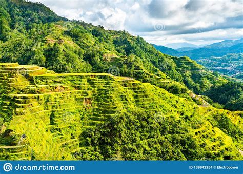 Banaue Rice Terraces Northern Luzon Unesco World Heritage In