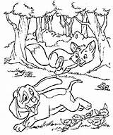 Hound Rouky Rox Capper Frey Nemiciamici Wolles sketch template