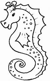 Seahorse Coloring Pages Print sketch template