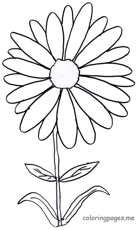 image result  daisy coloring pages flower coloring pages flower