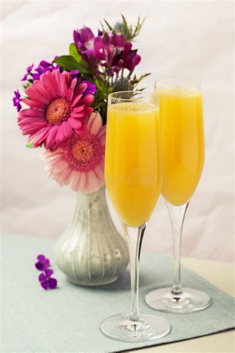 mimosa cocktail  flowers stock image image  gerbera orange