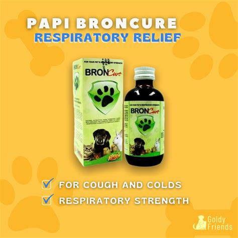 broncure ml  cough colds respiratory strength shopee philippines