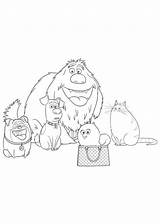 Pets Huisdiergeheimen Mascotas Secreta Bichos Pintar Animali Gidget Kleurplaten Malvorlage Chole Ausmalbild Bibi Animaatjes Mussati sketch template
