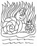 Coloring Snail Printable Pages Slow Tiny Animal sketch template