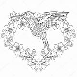 Hummingbird Zentangle Colouring sketch template