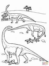 Dinosaurs Riojasaurus Kolorowanki Druku Jurassic Triassic Diplodocus Disegni Prosauropod Dzieci Dinosaur Printmania Supercoloring Diplodok Stygimoloch sketch template