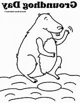 Groundhog Coloring Printable Pages Adult Library Clipart Line Template Popular sketch template