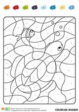 Magique Ce1 Tortue Calcul Maternelle Colorier Activités Hugolescargot Imprimé sketch template