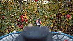 fruit picking drone foxtech intelligent equipment news