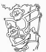 Monkey Coloring Pages Animal Color Animals Print Back sketch template