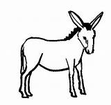 Donkey Coloring Pages Baby Getcolorings Printable sketch template