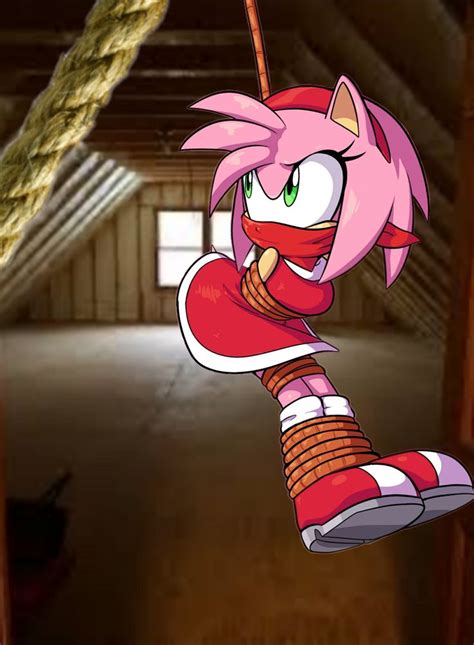 Pin By Randy On Mis Pines Guardados In 2022 Amy Rose Sonic Art Girl
